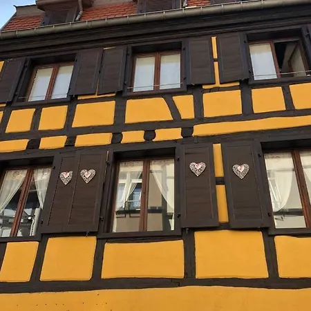L'alsacien Apartament Colmar