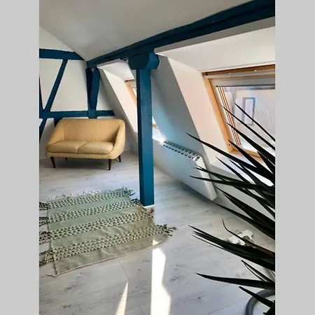 L'alsacien Apartament Colmar